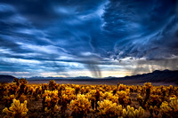 Cactus Garden Storm    ©2015